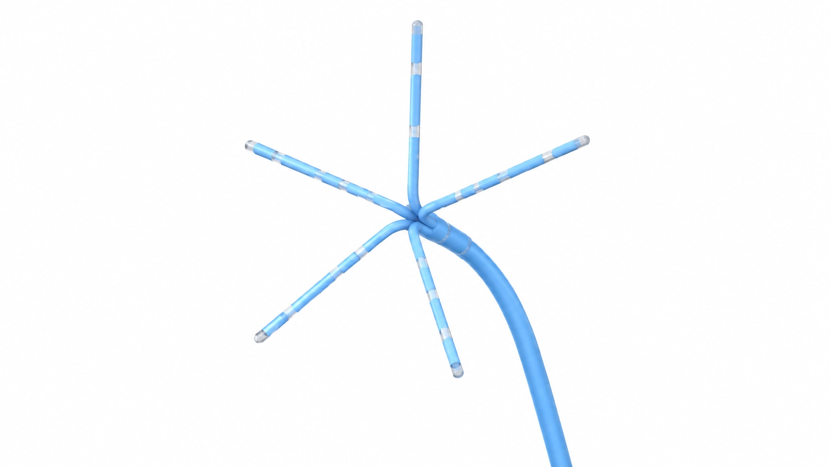 EasyStars™ High Density Mapping Catheter